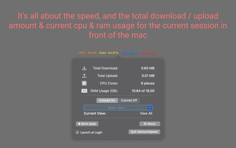 Screenshot #2 pour NetworkSpeed