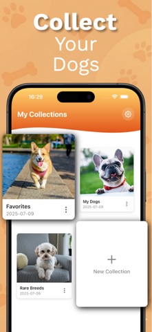 狗狗识别工具：拍照快速辨认各种犬种 screenshot