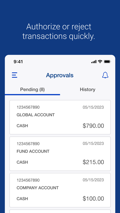U.S. Bank Pivot Screenshot