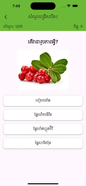 Khmer Fruits Learning Fun screenshot 4