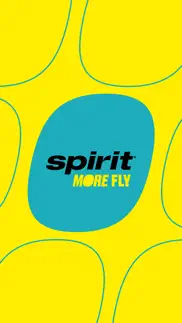 spirit airlines not working image-1