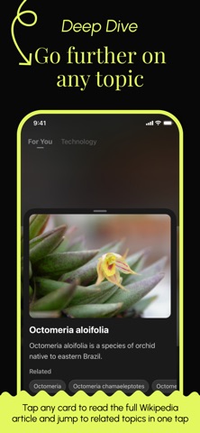 KnowScroll: Knowledge Feed Screenshot 4 of 7