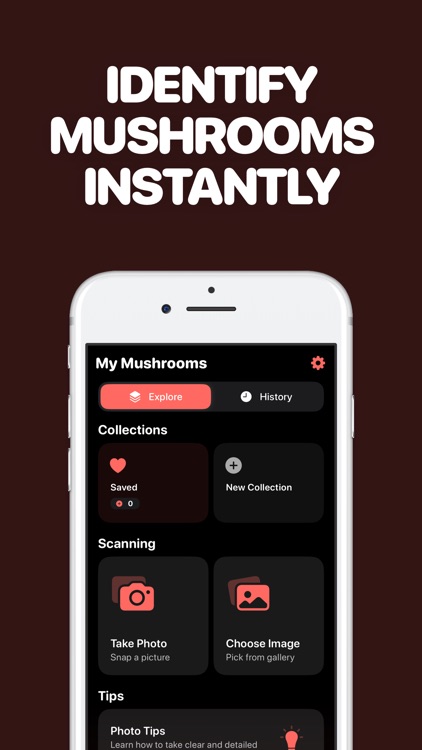 Identify Mushrooms with AI