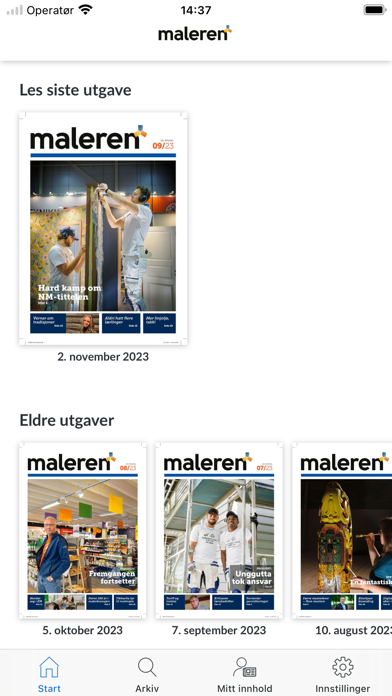 Maleren Screenshot