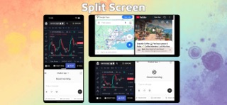 Split Screen & Dual Browser Screenshot 1 of 4