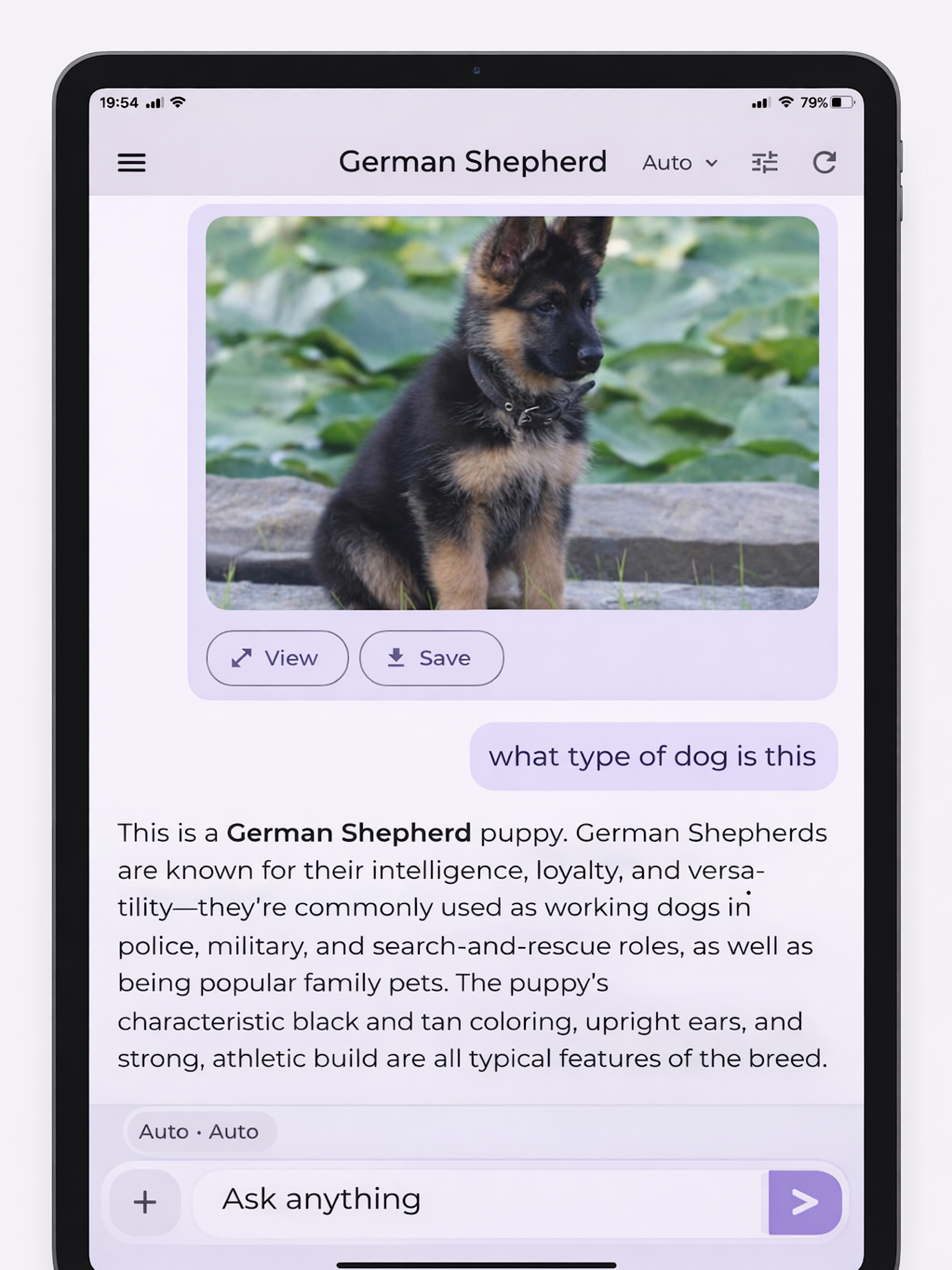 ChatSQT Omni screenshot 11