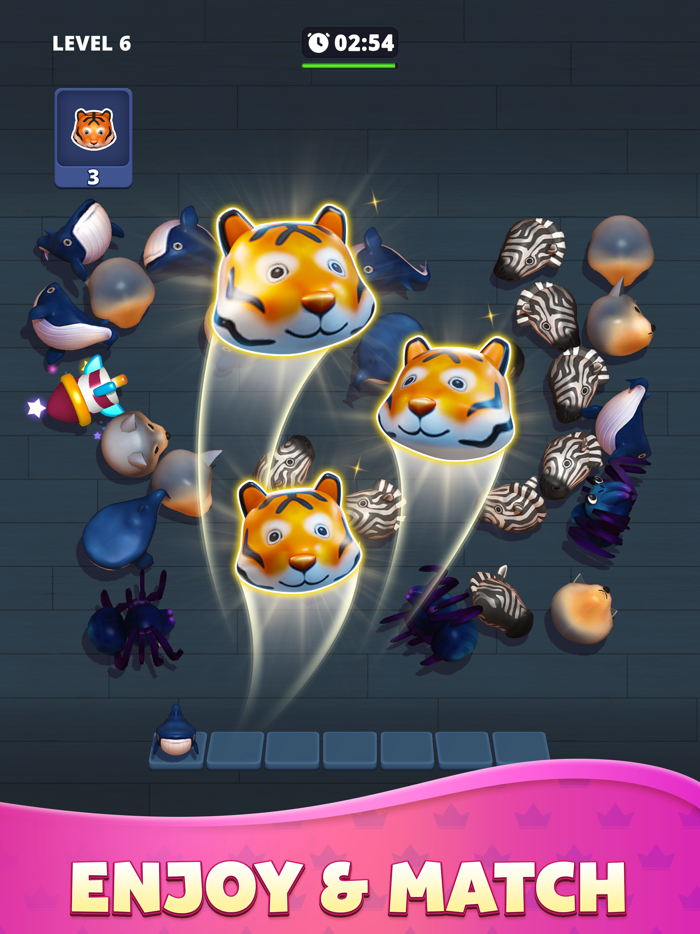 Match Triple Find Toy