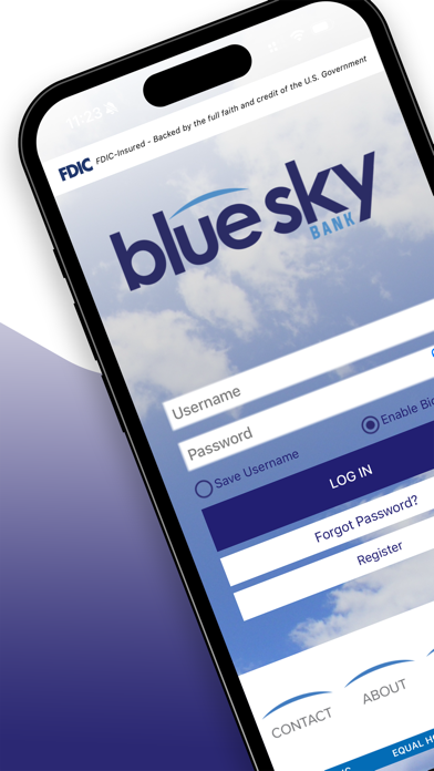 Blue Sky Bank Consumer Screenshot