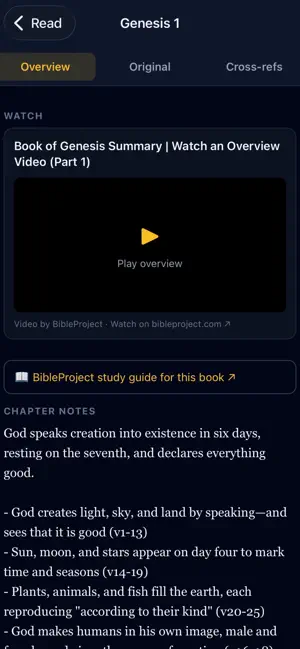 Bible Definition screenshot 3