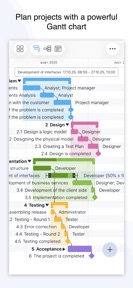 Project Office X: Gantt chart screenshot