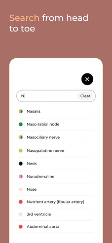 Body Map: Anatomy Simplified Screenshot 8 of 9