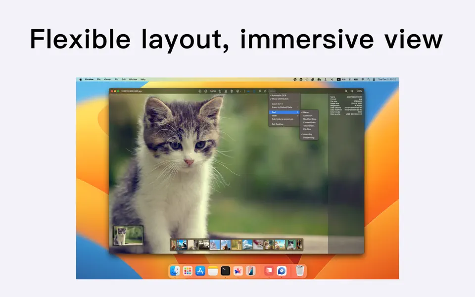 Screenshot 2 of Picview – Image Viewer