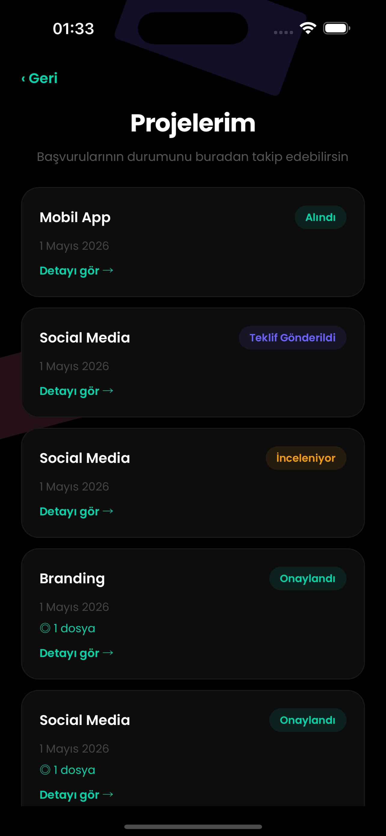 Vi Na App