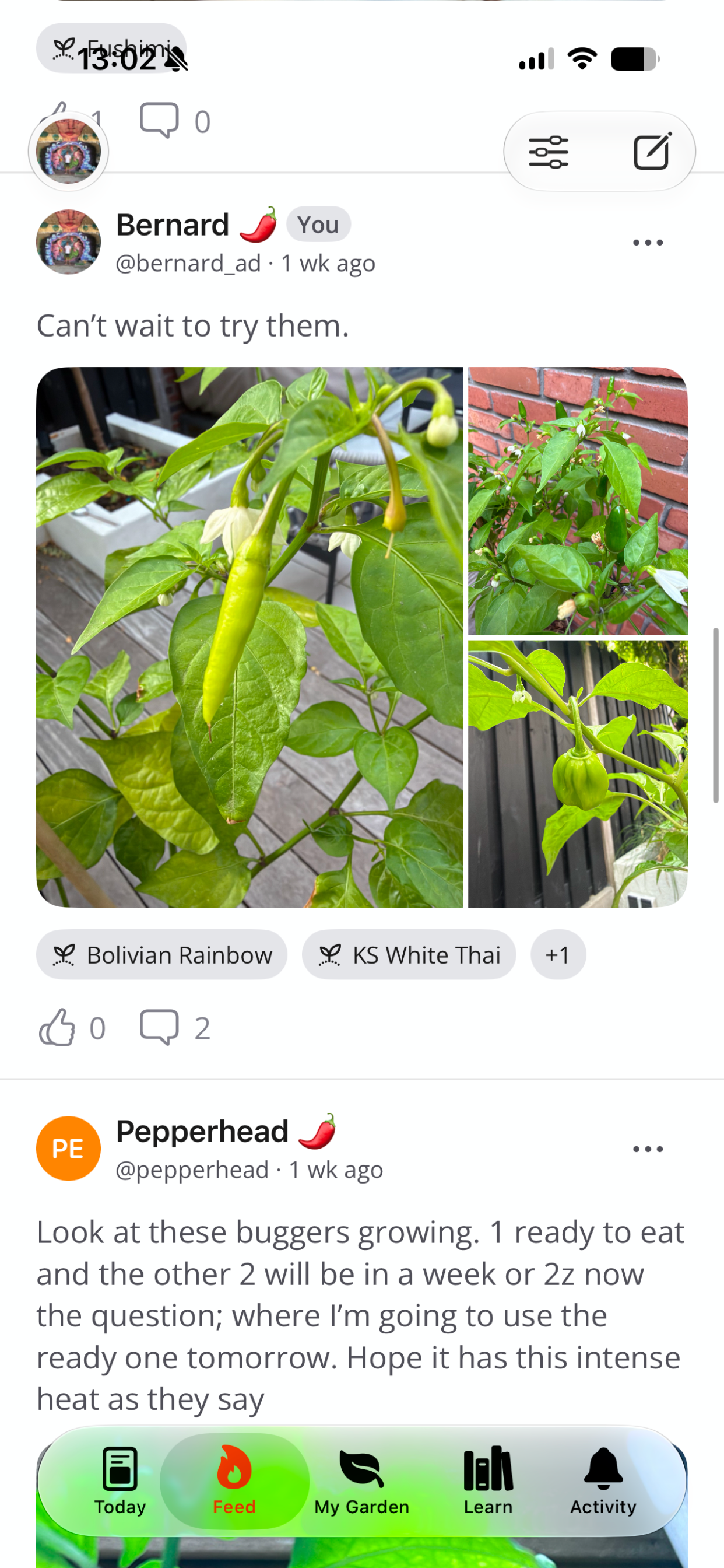 Capsi: Hot Pepper Atlas screenshot 5