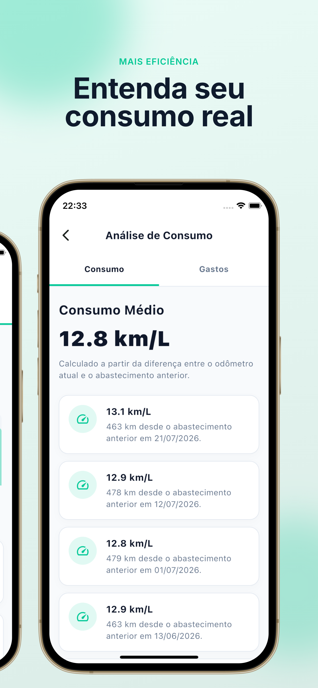 Abasteci: Gastos e consumo screenshot 5