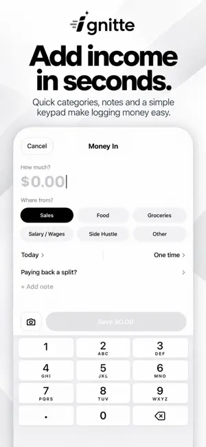 Ignitte: Private AI Accounting screenshot 4