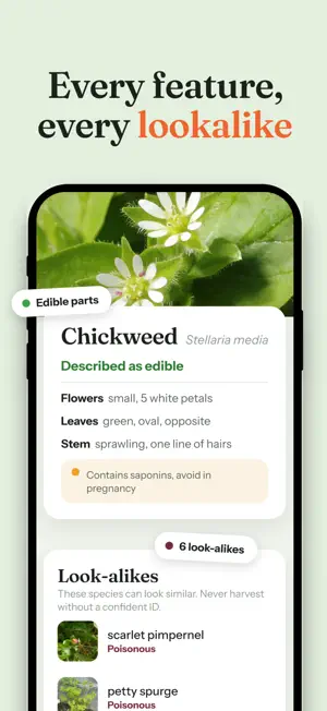 Forage: Wild Food Finder screenshot 2