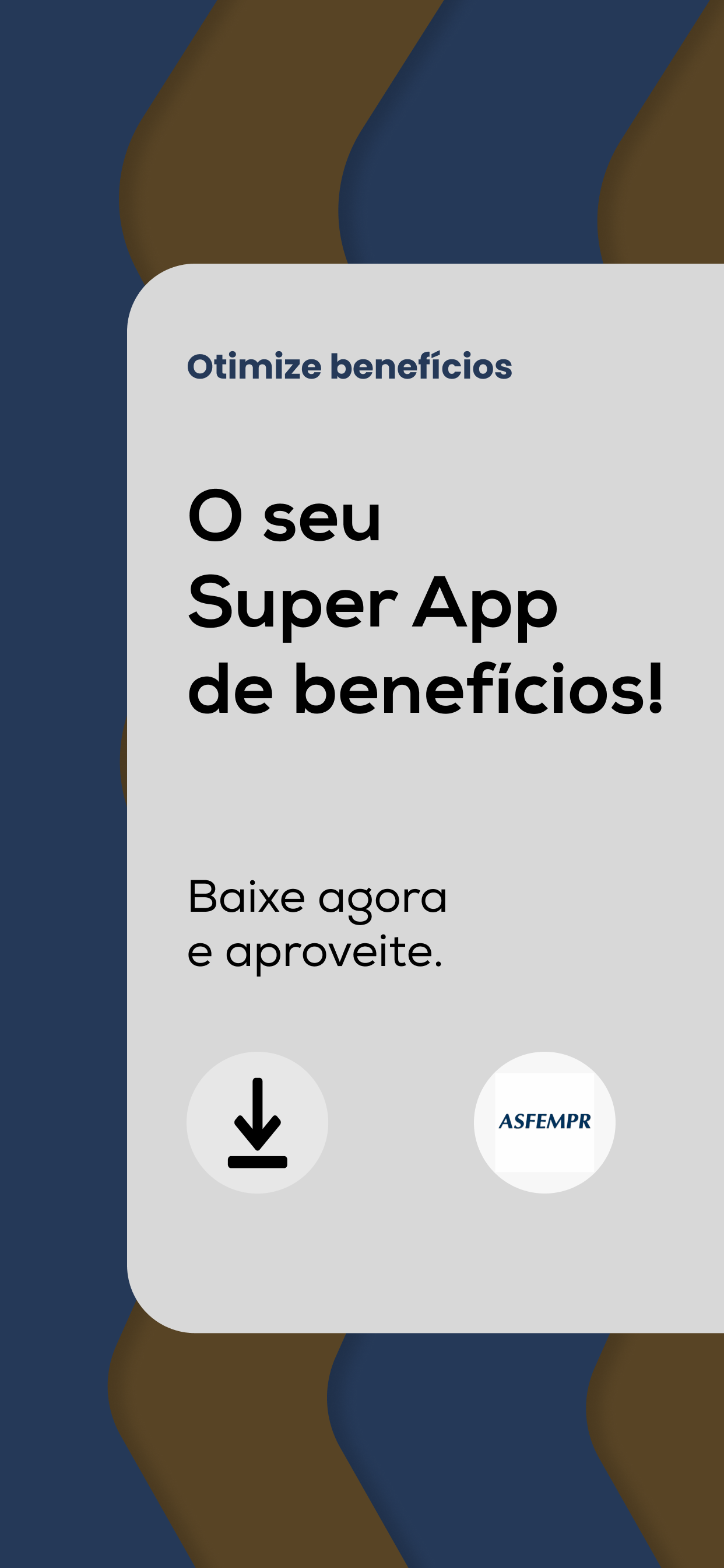 ASFEM screenshot 6