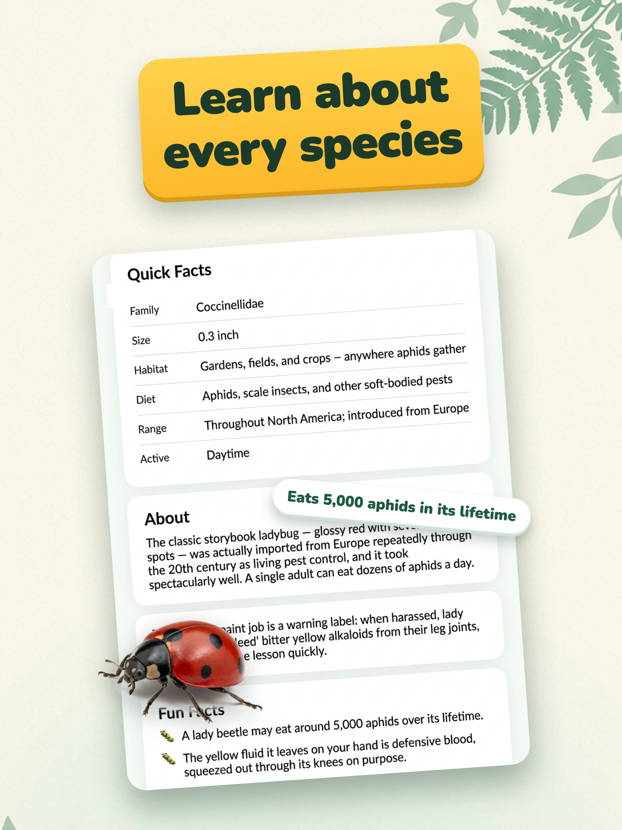 Bug ID: AI Insects Identifier screenshot 11