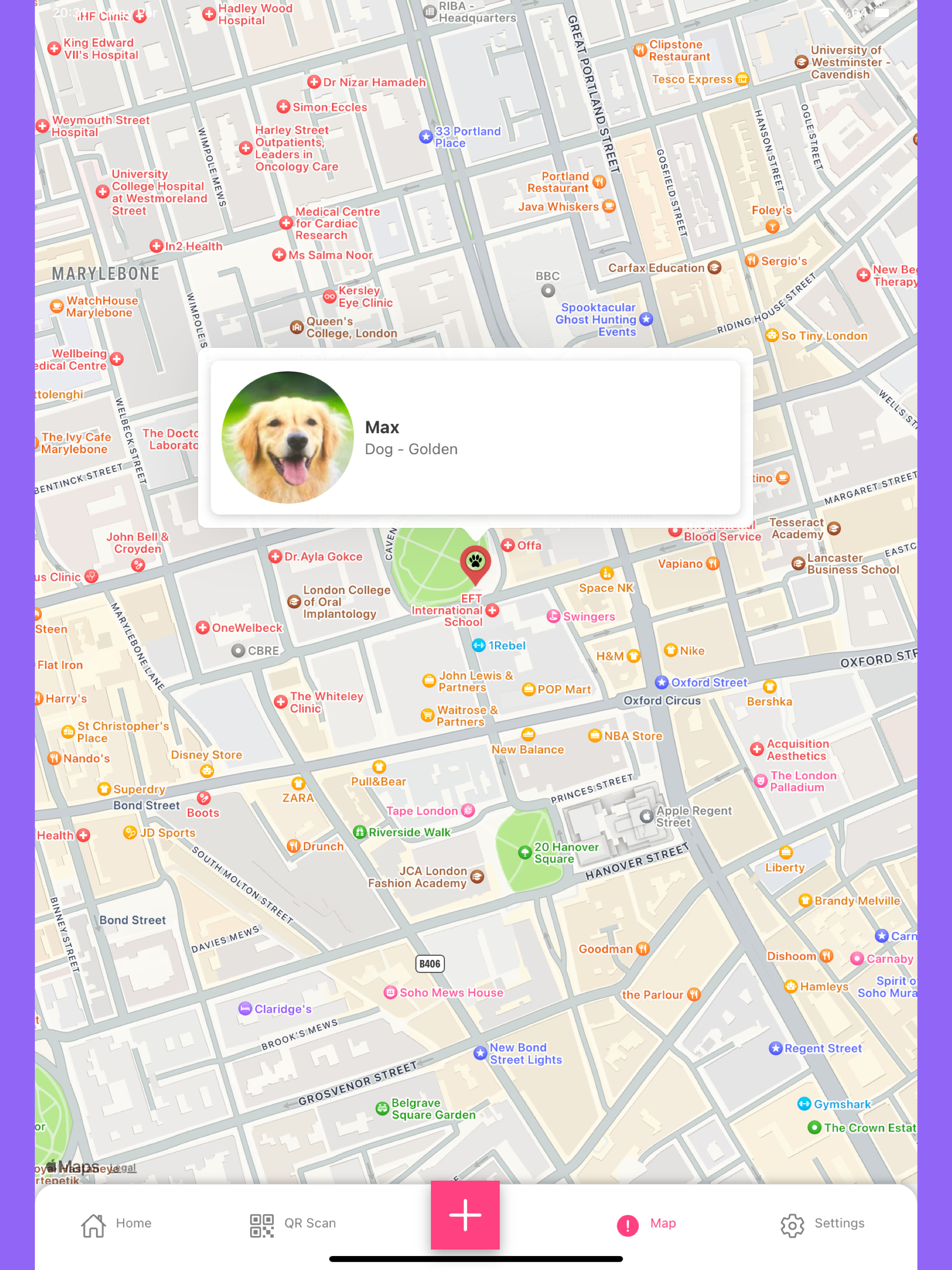 Find My Pets screenshot 16