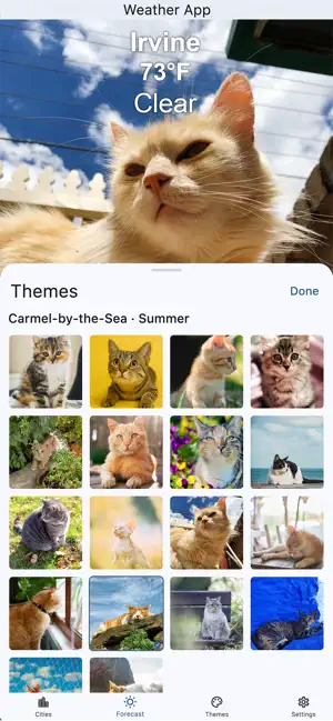 The Weather Cat Channel screenshot 1