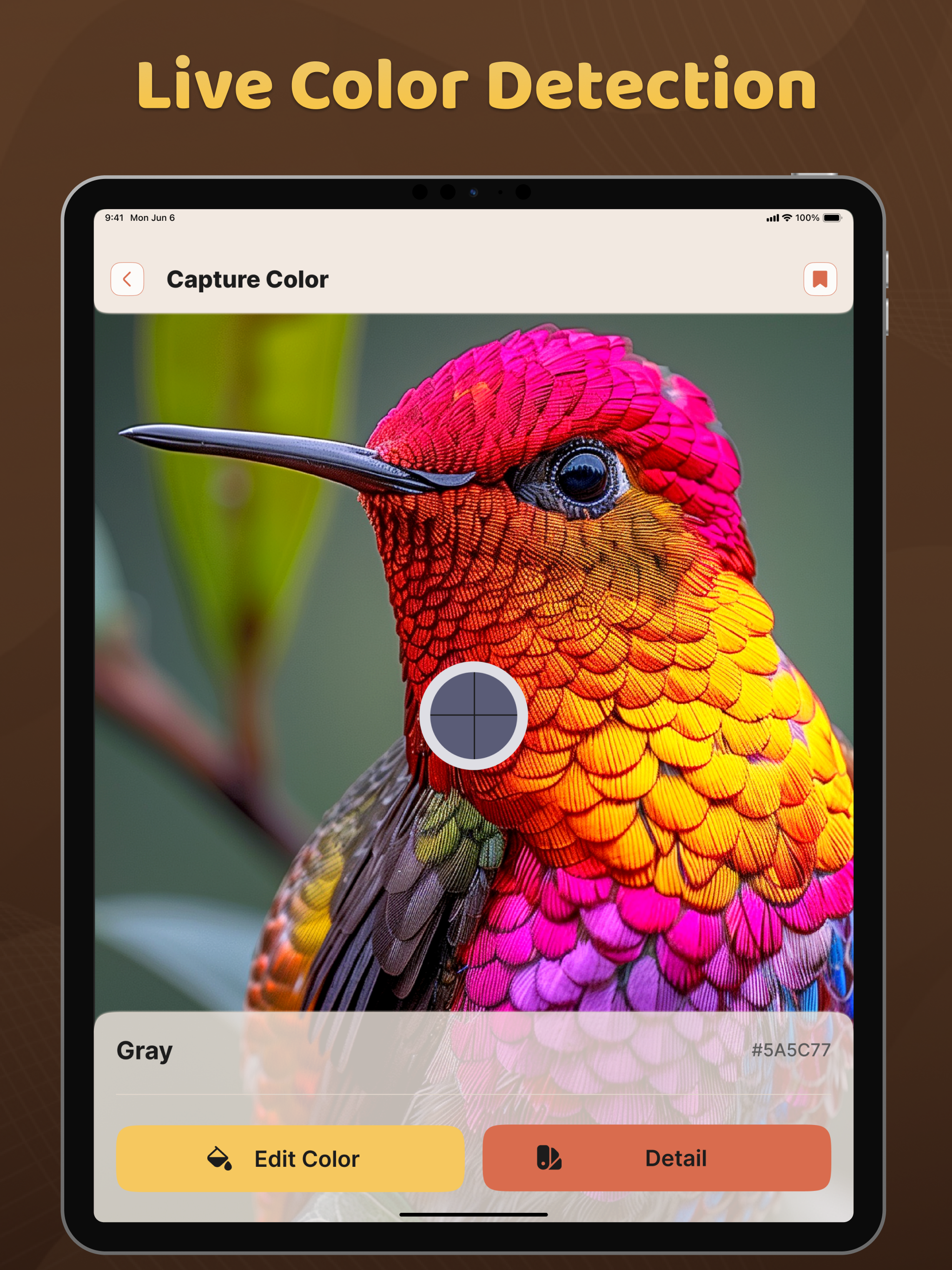 Color Grab Detection screenshot 7