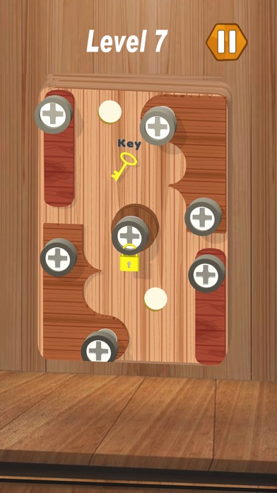 Wood Screw Puzzle Adventure Screenshot