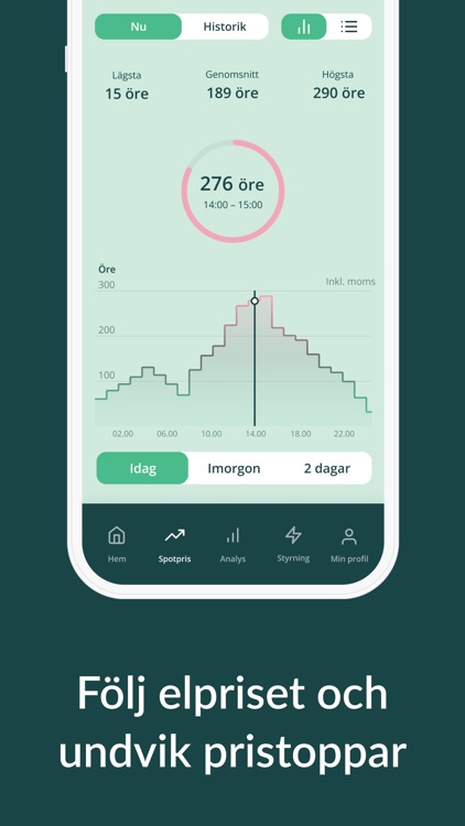 Kärnfull Energi