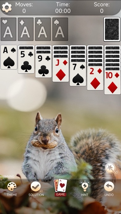 Solitaire Collection - 2024 Screenshot