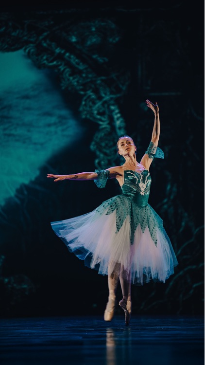 The Russian Ballet School