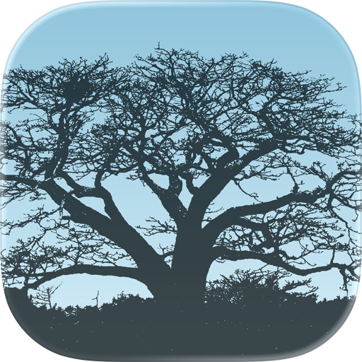 The Quiet Frame: Air