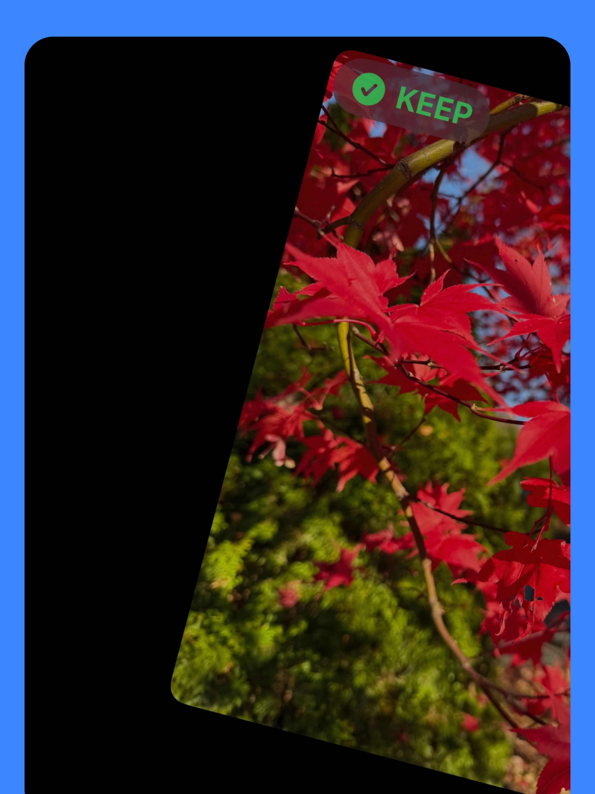 picswipe: Photo Cleaner