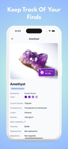 Gem Master : Stone Identifier screenshot