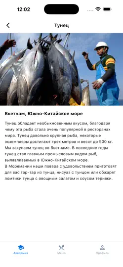 Скриншот Моремания Академия на iPhone 1