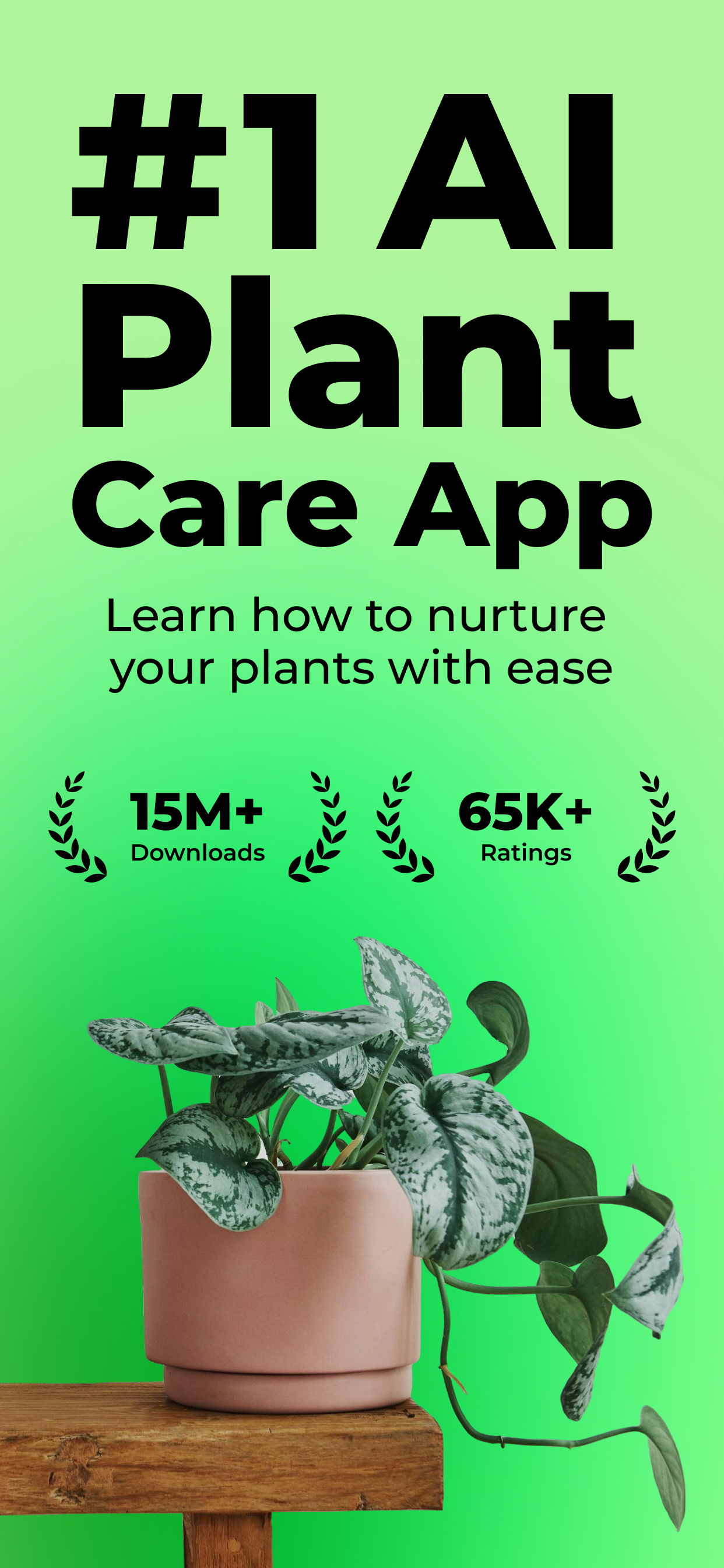 PlantSnap - plant identifier