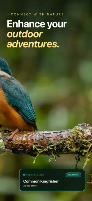 BirdScout: Bird Sound ID screenshot 2
