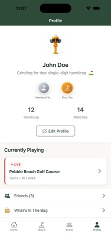 BirdieBuddie screenshot