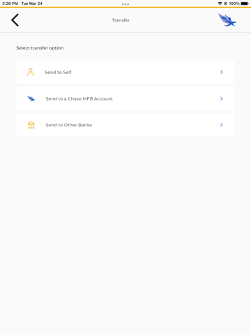 Chase MFB Mobile iPad screenshot