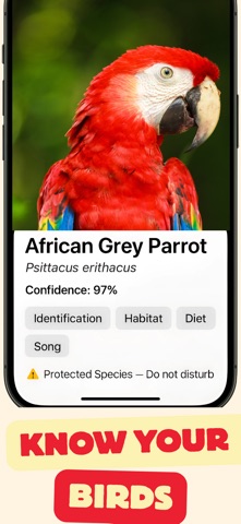 bird identifier ° Screenshot 4 of 5