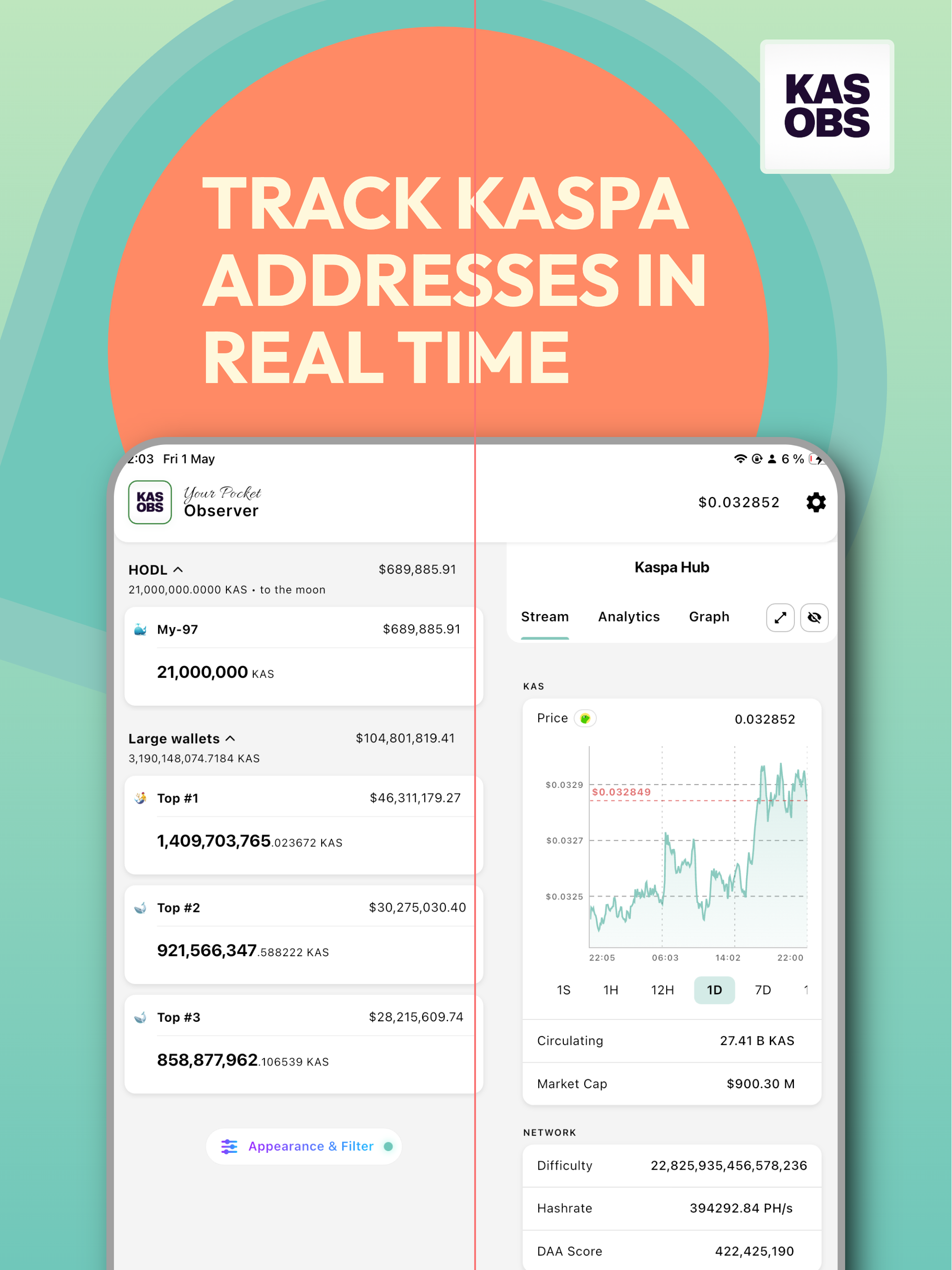 Kaspa Observer