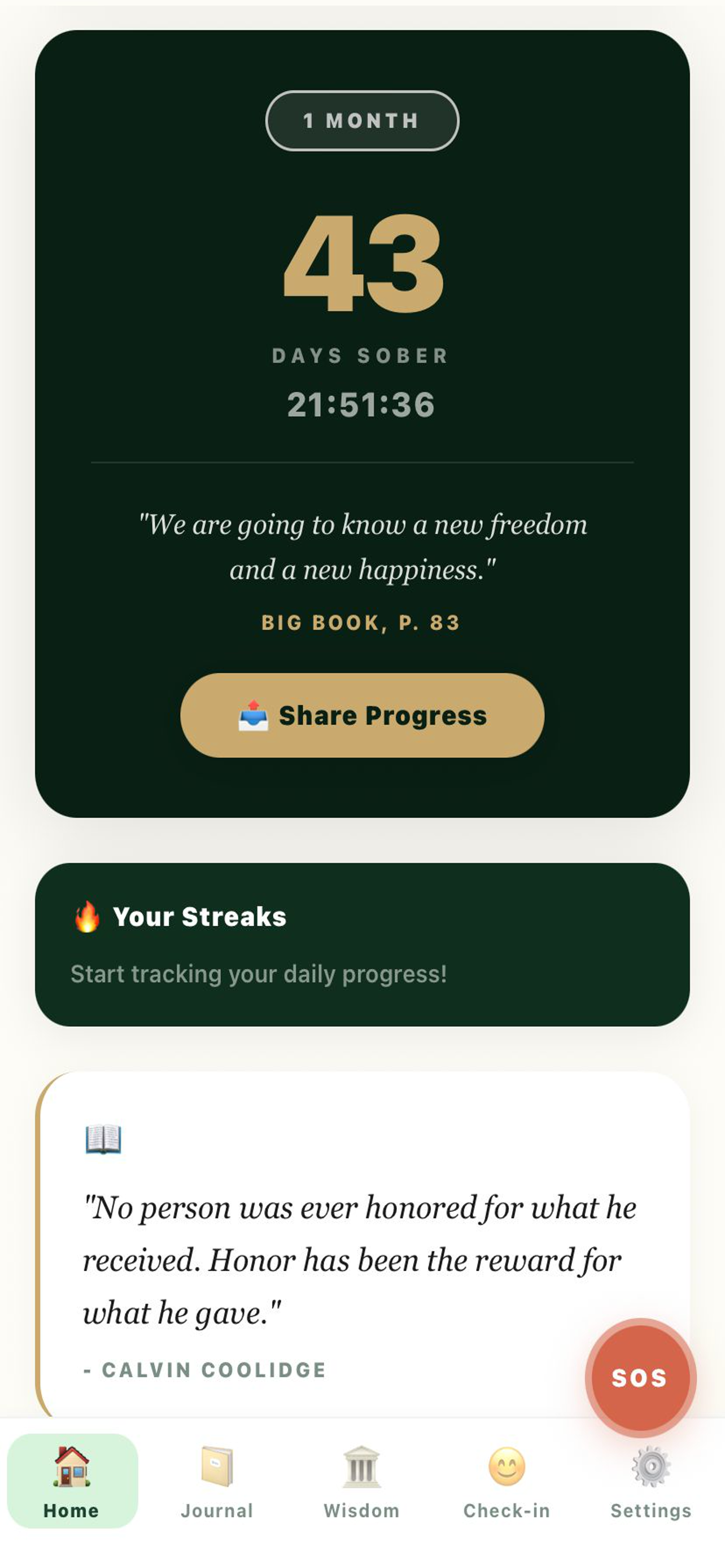Sober Path screenshot 1