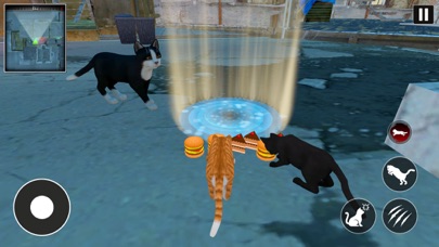 Kitty Lost Big City Simulator Screenshot