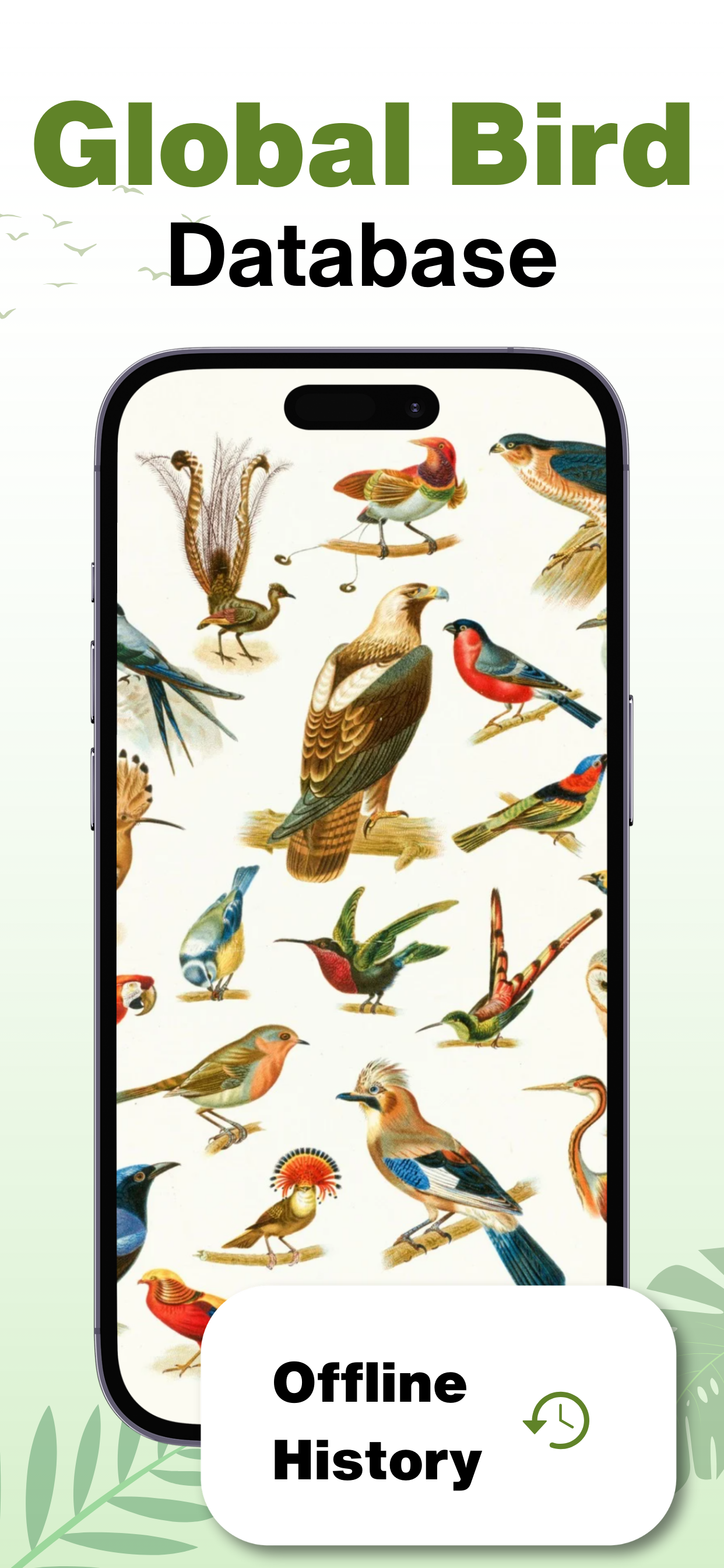 Bird Guru: Bird Identifier AI screenshot 6