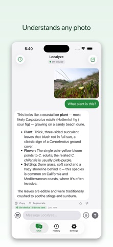 Localyze.ai Screenshot 7 of 8