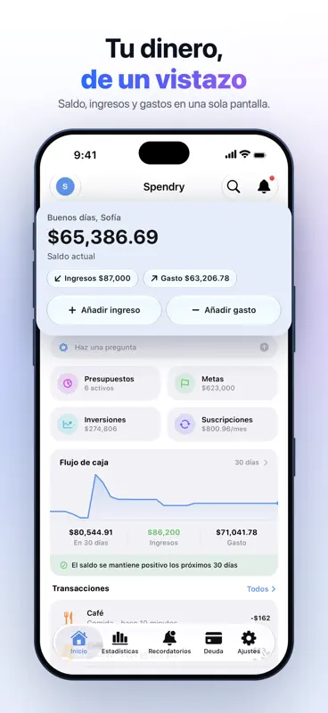 Spendry - Control de gastos screenshot 3 of 10