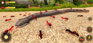 Ant Insect Bug Life Simulator Screenshot 2 of 6
