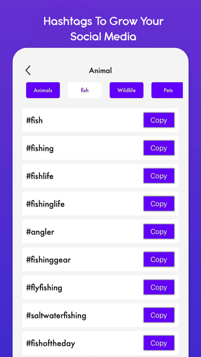 Hashtag Generator Expert AI screenshot
