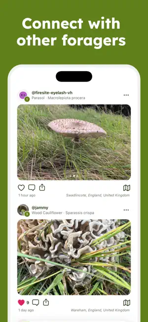Sporecast: Mushroom Identifier screenshot 3