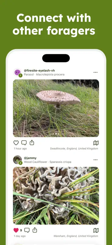 Sporecast: Mushroom Identifier screenshot 3 of 4