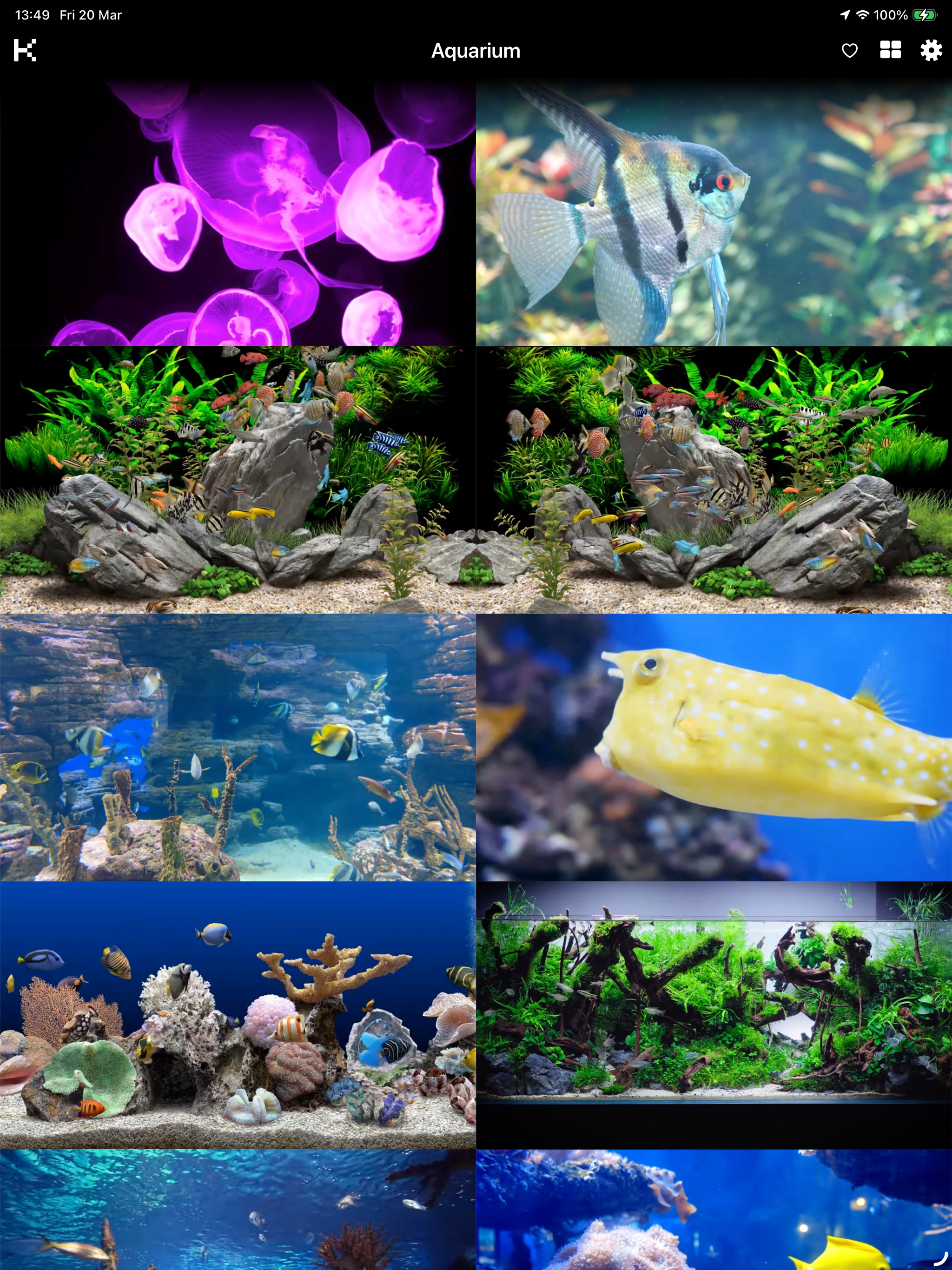 https://is1-ssl.mzstatic.com/image/thumb/PurpleSource221/v4/9a/6a/d5/9a6ad511-8e7e-15e2-6b78-4b28917596e3/IMG_0050.PNG/2048x2732.png